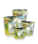 Świeca Baobab Cities - Singapore GALBANUM - DRZEWO GAIAC - CEDR