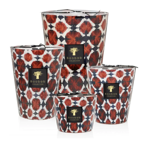 Baobab Bohemia Django