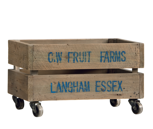 Skrzynia na kółkach DB