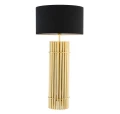 Lampa Reef 110326.JPG