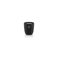 Ambra 80g.png