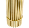 Lampa Reef 110326-2.JPG