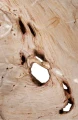 109033-3.JPG